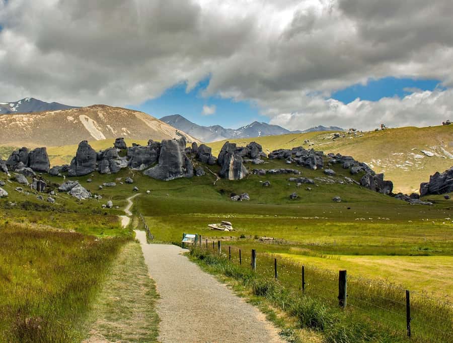 Arthur's Pass: TranzAlpine Train and Castle Hill Day Tour - Is $245 good value?