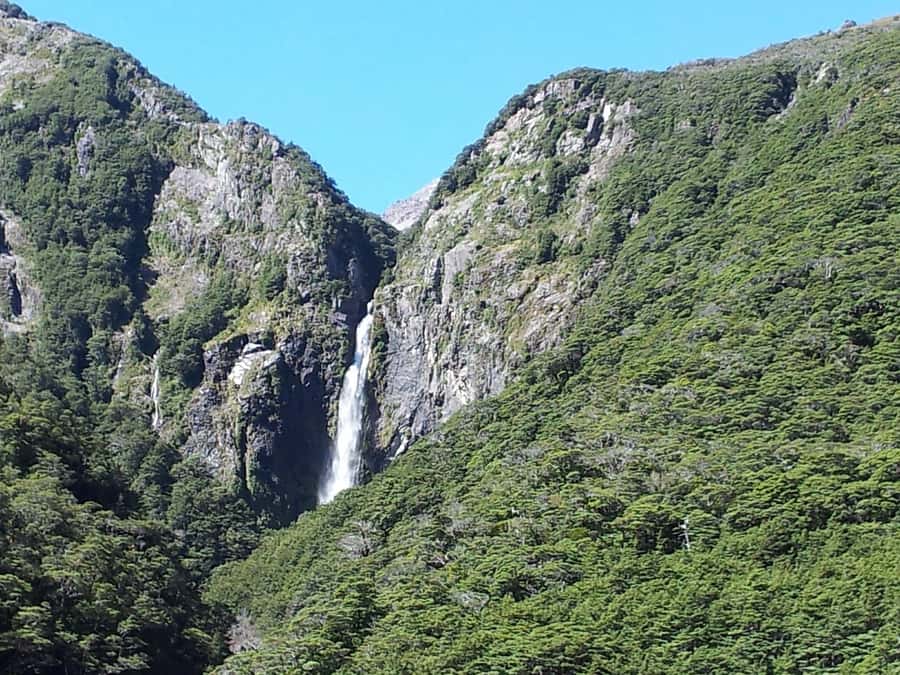 Arthur's Pass: TranzAlpine Train and Castle Hill Day Tour - Guides, group size, and the human side of the tour