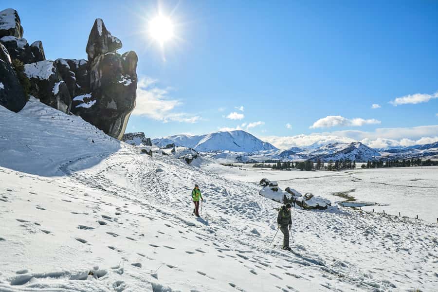 Arthur's Pass: TranzAlpine Train and Castle Hill Day Tour - The TranzAlpine through the Southern Alps