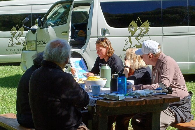 Arthur's Pass with optional TranzAlpine Train (Small Group Tour) - The optional TranzAlpine Train