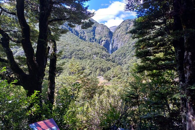 Arthur's Pass with optional TranzAlpine Train (Small Group Tour) - Darfield and Springfield, two small-town introductions