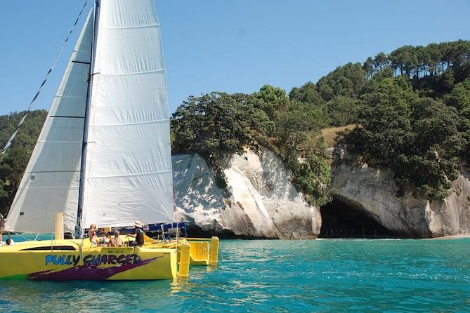 Arvo of goodness Chilled out Sail (3.5hrs) - A private sail along the Coromandel coast