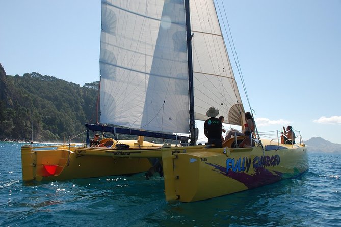 Arvo of goodness Chilled out Sail (3.5hrs) - Gemstone Bay and the marine reserve