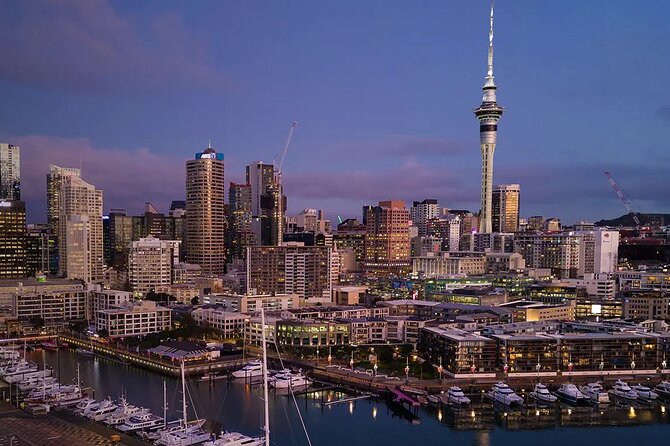 Auckland Airport Private Transfer - The walk from the terminal to the car