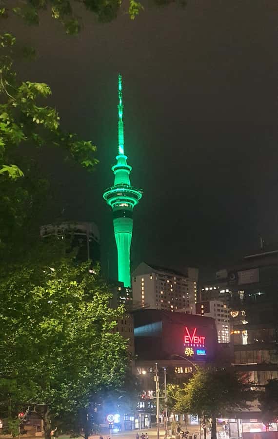 Auckland: Auckland City Tour 4 hours private - Key points at a glance