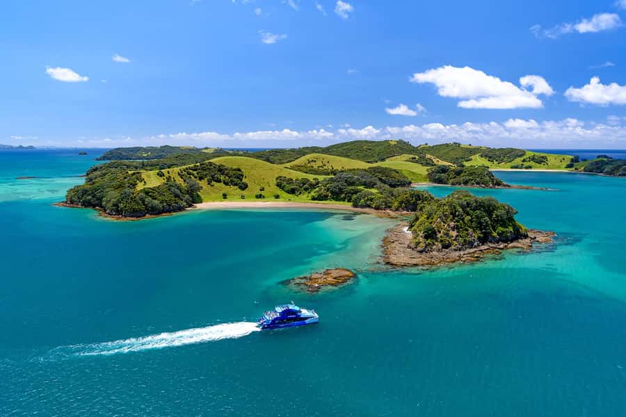 Auckland: Bay of Islands Day Tour with Dolphin Cruise - Key details before you book