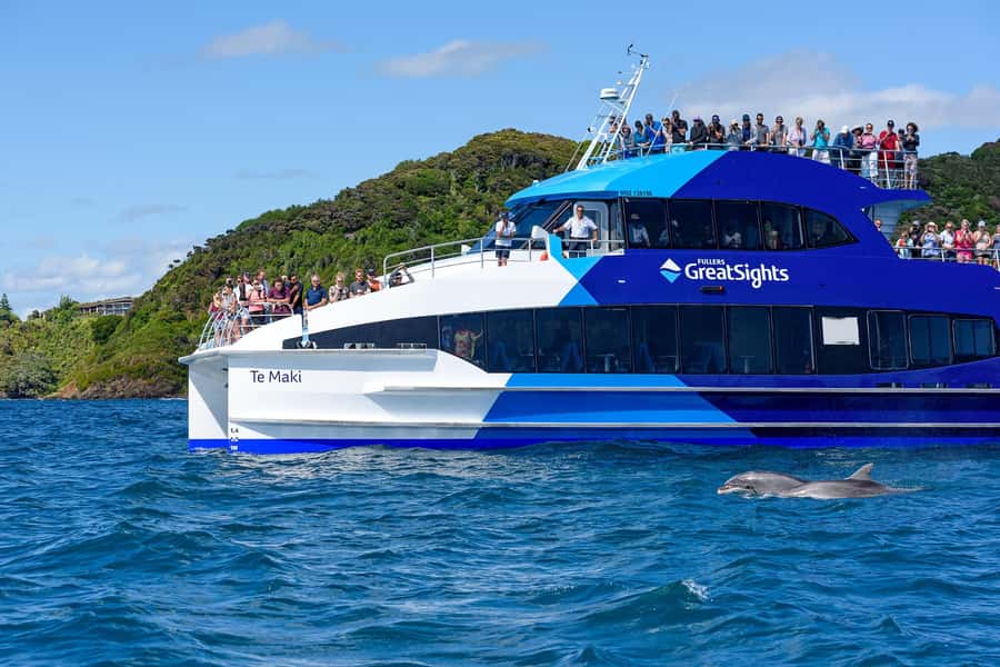 Auckland: Bay of Islands Day Tour with Dolphin Cruise - Ninety minutes at Otehei Bay