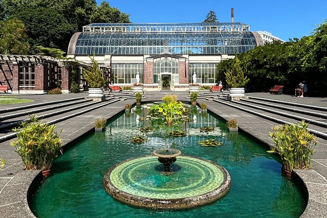 Auckland Best Top 5 Spots Half day Tour - A private vehicle changes the value calculation