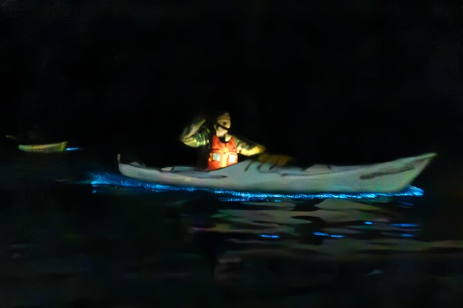 Auckland Bioluminescence Kayak Tour - Key points to know before you paddle