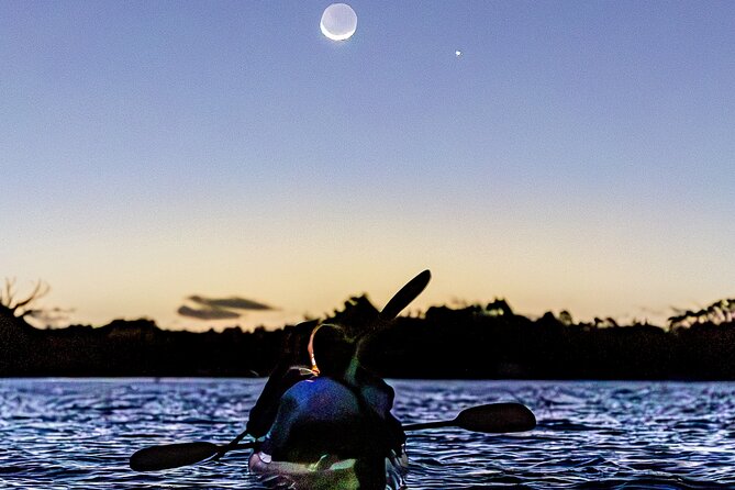 Auckland Bioluminescence Kayak Tour - Safety Matters More Than the Glow