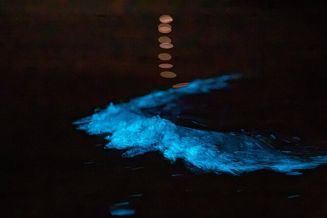 Auckland Bioluminescence Kayak Tour - What the Price Includes at $68.26