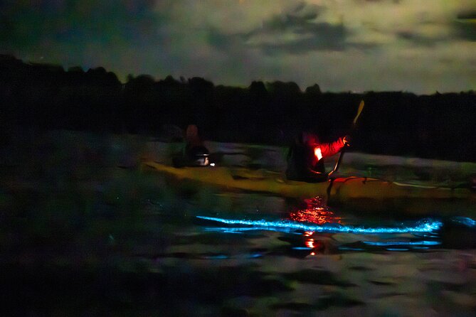Auckland Bioluminescence Kayak Tour - Photos, Darkness, and Realistic Expectations