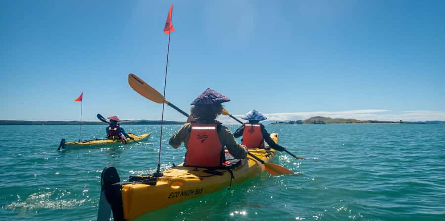 Auckland: Browns Island (Motukorea) Sea Kayak Tour - Why Browns Island is a fine Auckland outing