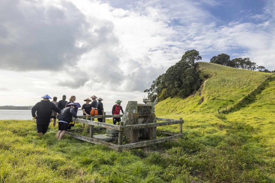 Auckland: Browns Island (Motukorea) Sea Kayak Tour - Watching for birds and marine life