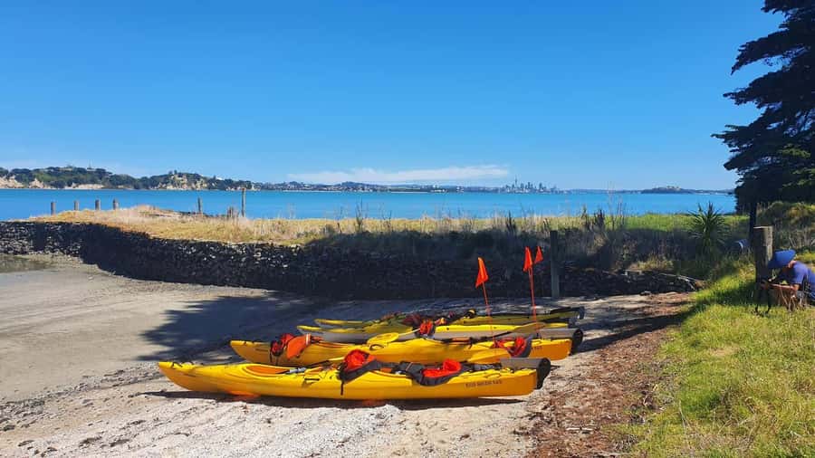 Auckland: Browns Island (Motukorea) Sea Kayak Tour - Returning across the gulf