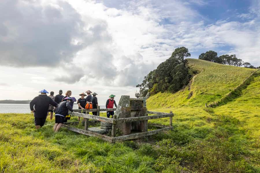 Auckland: Browns Island (Motukorea) Sea Kayak Tour - What the $89 price buys you