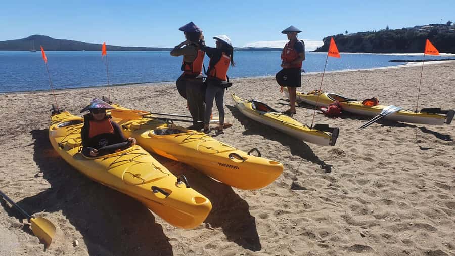 Auckland: Browns Island (Motukorea) Sea Kayak Tour - Who will enjoy this tour most