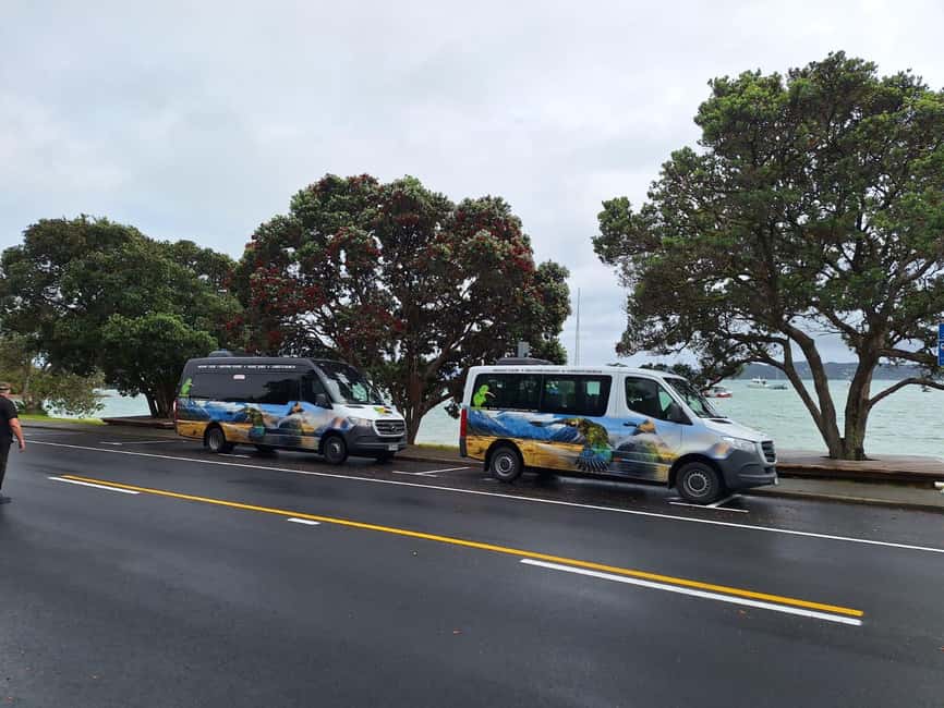 Auckland: Cathedral Cove and Coromandel Small Group Tours - What the 12-hour itinerary feels like