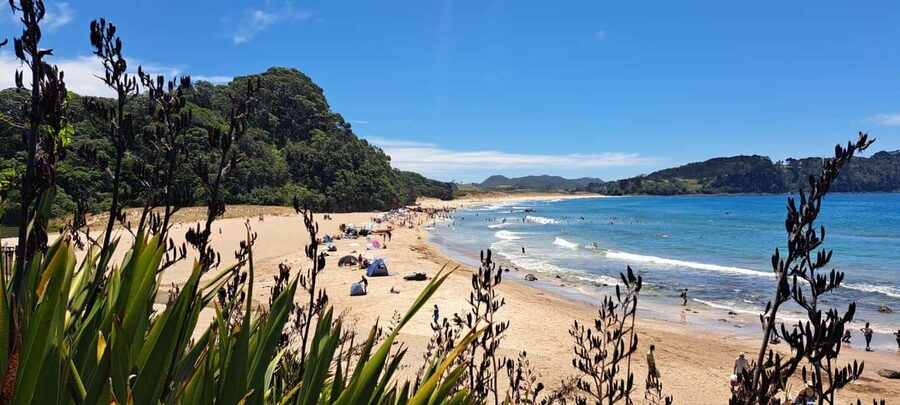 Auckland: Cathedral Cove and Coromandel Small Group Tours - How the walking and fitness requirements affect your choice