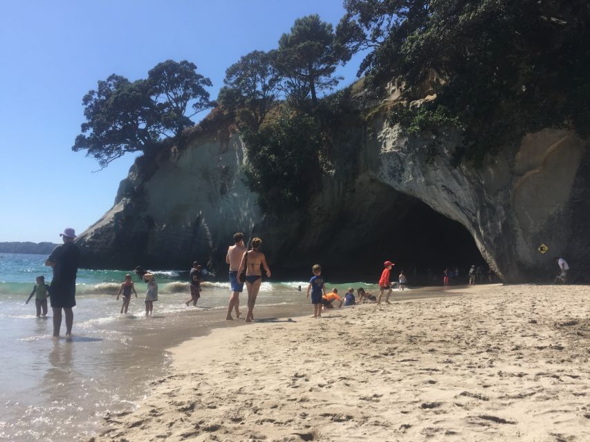 Auckland: Cathedral Cove and Coromandel Small Group Tours - Who should book this Coromandel tour?