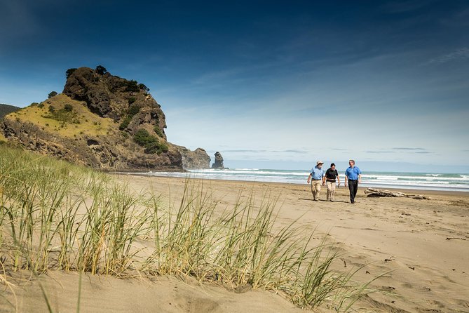 Auckland City and West Coast Full Day Tour - Key points at a glance
