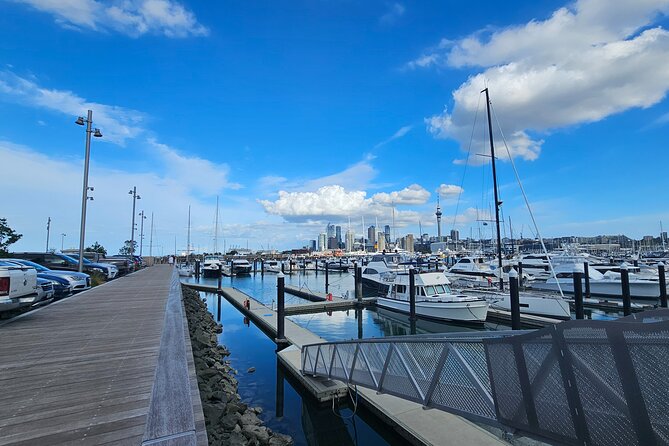 Auckland City Halfday Tour - Westhaven Marina and Auckland’s sailing culture