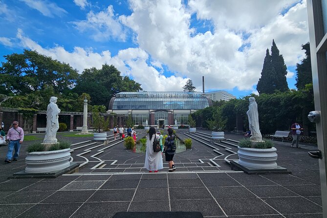 Auckland City Halfday Tour - Kauri Glen Reserve and native forest