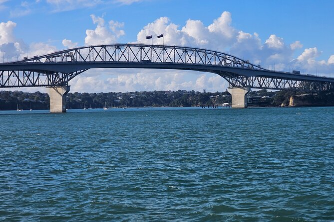 Auckland City Halfday Tour - The guide can shape the whole afternoon