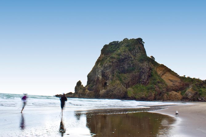 Auckland City Highlights, Afternoon Piha Beach & Rainforest Tour - Why this day works for first-time Auckland visitors