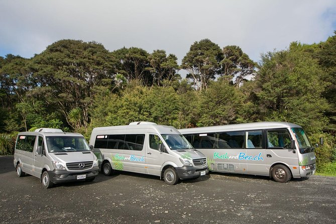 Auckland City Highlights, Afternoon Piha Beach & Rainforest Tour - Westhaven Marina and the inner city pass by the windows