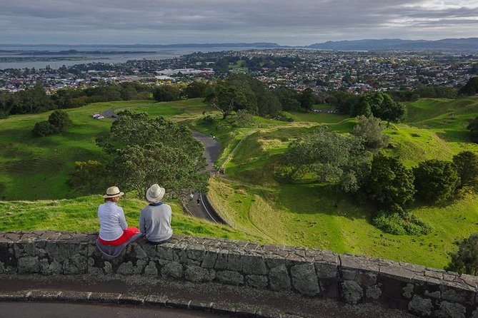 Auckland City Highlights, Afternoon Piha Beach & Rainforest Tour - The rainforest walk is easy but genuinely rewarding