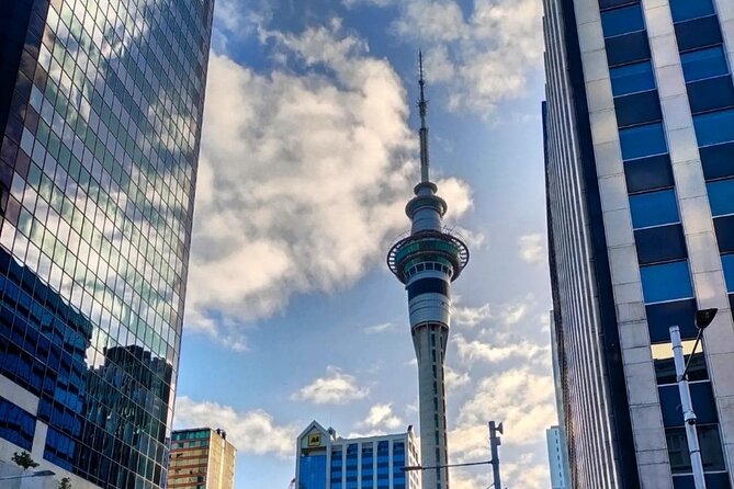Auckland City Highlights Full Day Tour - Auckland War Memorial Museum: the longest and most substantial stop