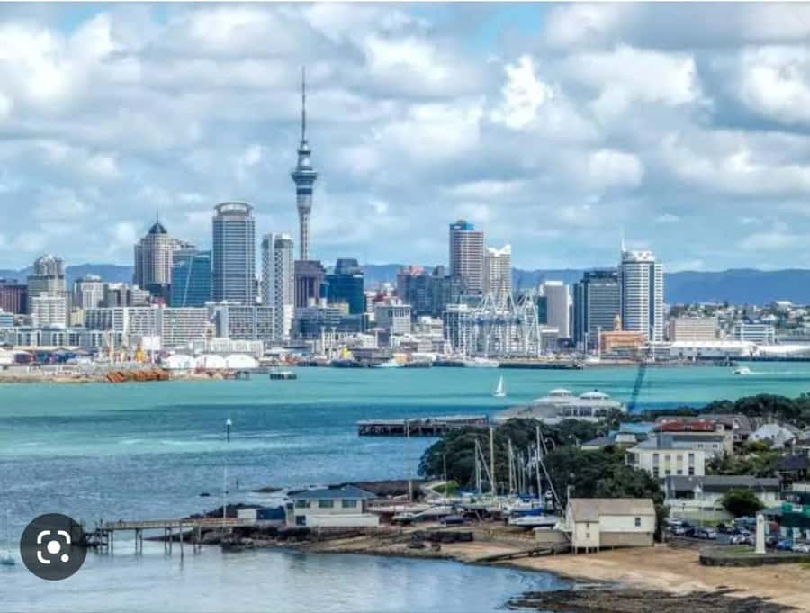Auckland City Highlights Half Day Tour - A smart way to see Auckland when time is short