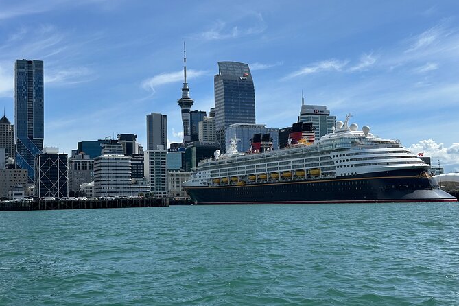Auckland City Highlights Tour by Car or Van - The University District and Parnell