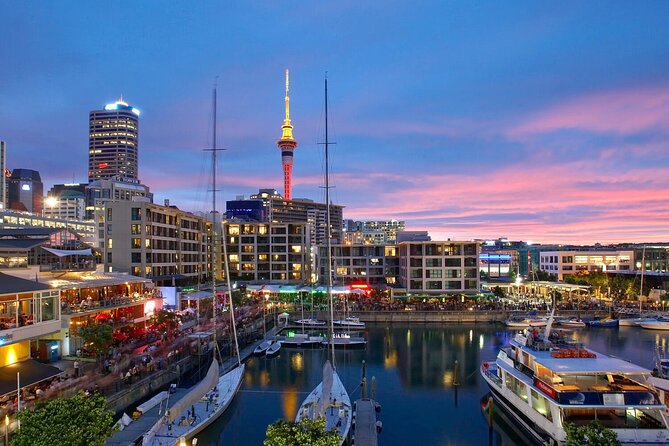 Auckland City Hotel to Cruise Ship Transfer by SUV - Who will get the most from this transfer