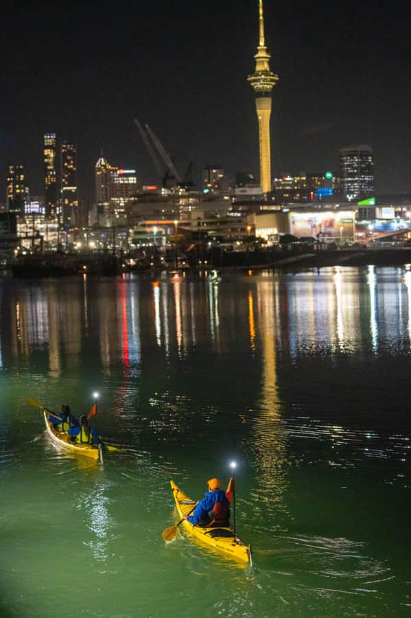 Auckland: City Lights Night Kayak Tour - Starting beside Westhaven Marina