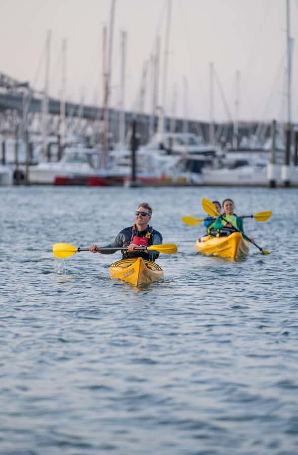 Auckland: City Lights Night Kayak Tour - Safety, instruction, and the small-group feel