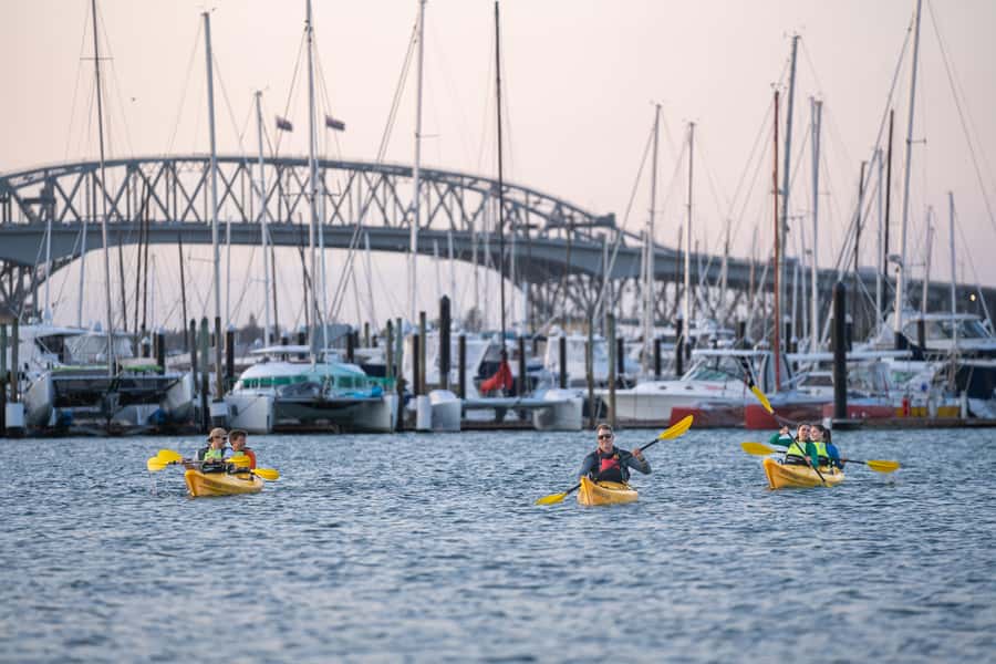 Auckland: City Lights Night Kayak Tour - Tea, brownie, and the little comforts