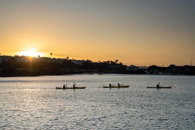Auckland City Lights Night Kayaking Tour - Sunset paddling beside Westhaven Marina