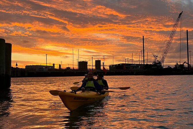 Auckland City Lights Night Kayaking Tour - Auckland Harbour Bridge and Vector light displays