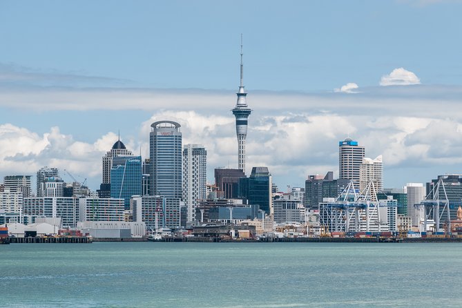 Auckland City & Native Forest Experience - Fully Guided Day Tour - Why this tour works for a first day in Auckland