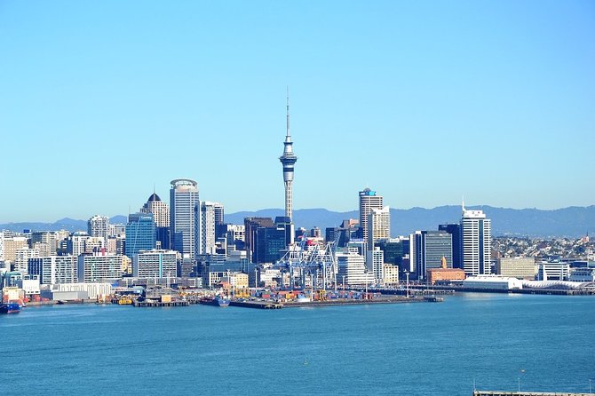 Auckland City & Native Forest Experience - Fully Guided Day Tour - Tamaki Drive, Bastion Point, and Parnell