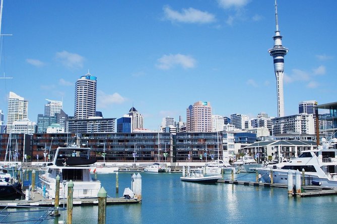 Auckland City Private Tour for Couples. Be chauffeur driven with added extras. - Mission Bay brings a waterfront pause