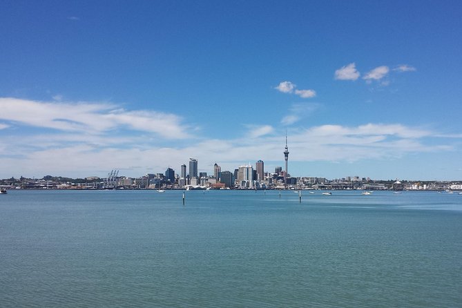 Auckland City Small-Group Morning Discovery Tour - Narrow Neck Beach and a glimpse of Rangitoto