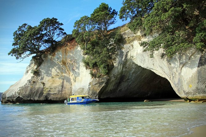 Auckland City to Auckland Airport transfers - Cruise terminal transfers are part of the service