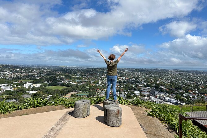 Auckland City Top Spots Half Day Tour(Small Group Tour) - Harbour Bridge and Westhaven Marina