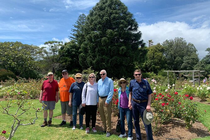 Auckland City Tour — One Day The Ultimate Auckland Experience - Mount Eden and the city from above