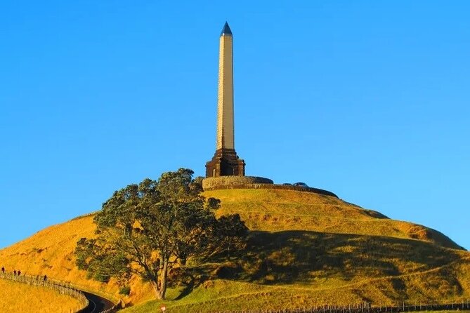 Auckland City Volcano & Scenic Highlights Tour - Auckland Domain and the Auckland Museum setting
