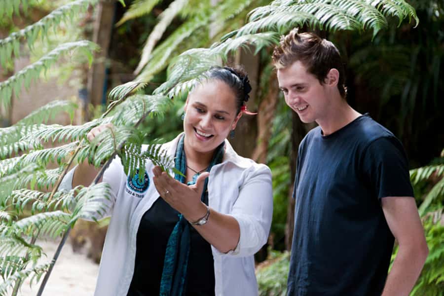 Auckland City & West Coast Luxury Tour - Timing, pickup, and the long-day tradeoff