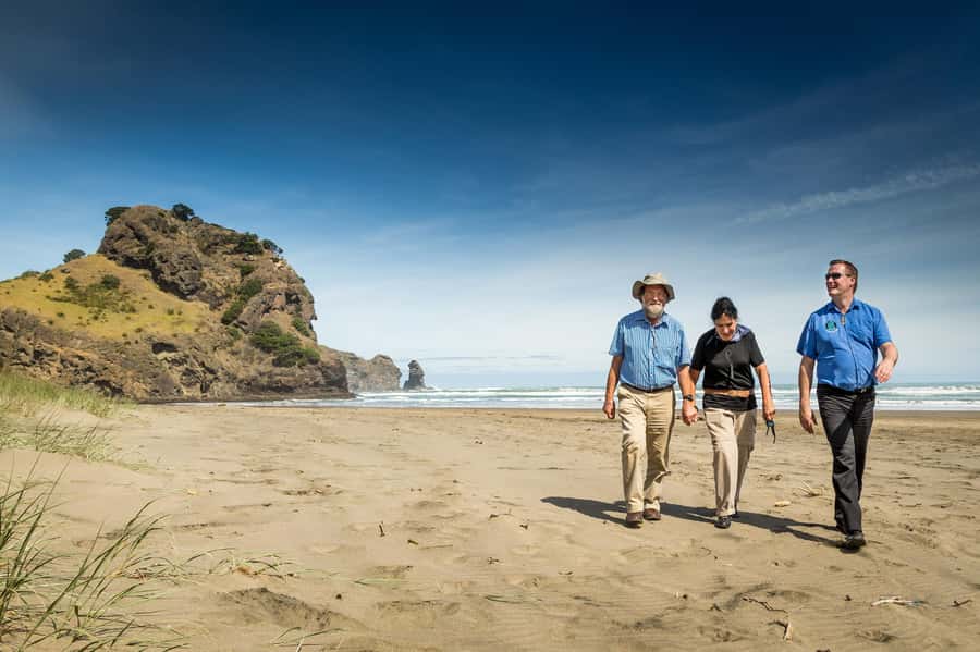 Auckland City & West Coast Luxury Tour - Why this Auckland tour works as a first look